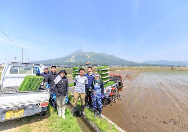 田舎もち 切り餅 400g×8袋
