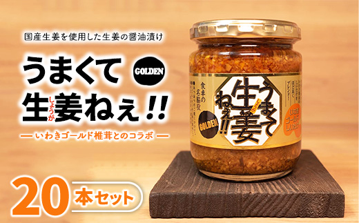 うまくて生姜ねぇ!!ゴールデン20本セット 【しょうが 国産 醤油漬け しいたけ ごはんのお供 お弁当 調味料 おつまみ 肴 薬味 隠し味 猪苗代町 福島県】