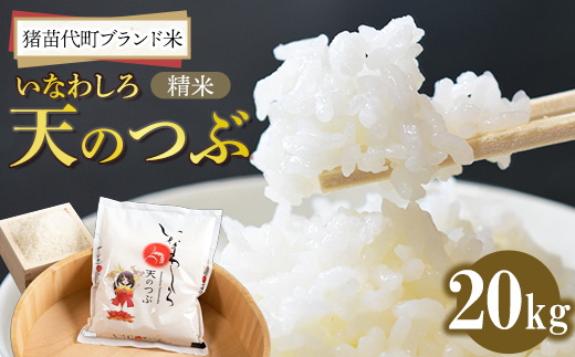令和7年産 猪苗代町ブランド米 いなわしろ天のつぶ( 精米 ) 20kg ｜ お米 白米 福島 大粒 寿司 和食