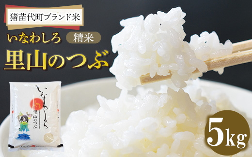 令和7年産 猪苗代町ブランド米 いなわしろ里山のつぶ( 精米 ) 5kg ｜ お米 白米 福島 和食