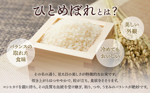 莉、蜥7蟷エ逕」 縺縺ェ繧上@繧阪イ縺ィ繧√⊂繧( 邊セ邀ウ ) 10kg ス 縺顔アウ 逋ス邀ウ 遖丞ウカ 繧繧上i縺九> 蜥碁」