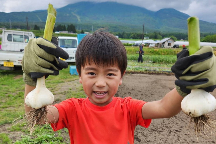【数量限定】白にんにく 1kg 国産 猪苗代産　※沖縄、離島への配送不可　※2025年9月上旬頃より順次発送予定
