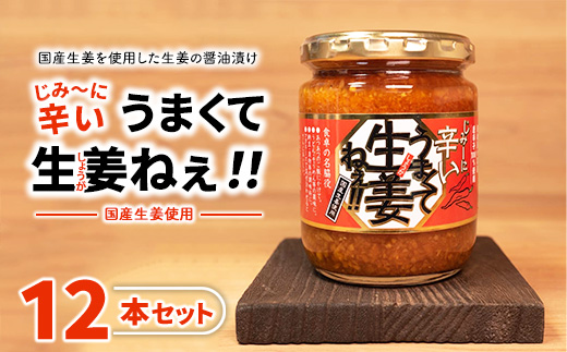 縺倥∩繝シ縺ォ霎帙>縺縺セ縺上※逕溷ァ懊ュ縺!!12譛ャ繧サ繝繝 縲舌@繧縺縺 蝗ス逕」 驢、豐ケ貍ャ縺 蜚占セ帛ュ 縺斐ッ繧薙ョ縺贋セ 縺雁シ∝ス 隱ソ蜻ウ譁 縺翫▽縺セ縺ソ 閧エ 阮ャ蜻ウ 髫縺怜袖 迪ェ闍嶺サ」逕コ 遖丞ウカ逵後