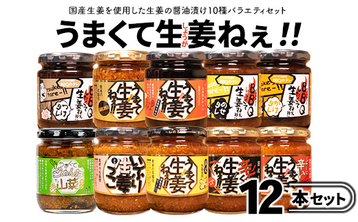 うまくて生姜ねぇシリーズバラエティセット12本 【しょうが 国産 醤油漬け ごはんのお供 お弁当 調味料 おつまみ 肴 薬味 隠し味 猪苗代町 福島県】