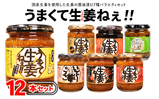 うまくて生姜ねぇシリーズバラエティセット12本 【しょうが 国産 醤油漬け ごはんのお供 お弁当 調味料 おつまみ 肴 薬味 隠し味 猪苗代町 福島県】