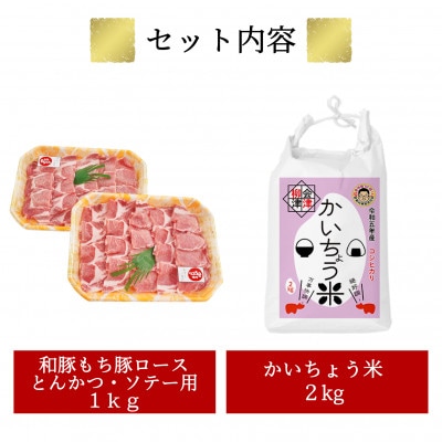 【幸せ食感】奥会津産こしひかり「かいちょう米」、和豚もちぶたロース焼肉用【複数個口で配送】【配送不可地域：離島】【4053832】