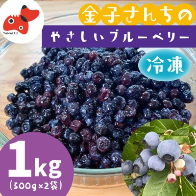 山あいで育ったやさしい甘さ。冷凍ブルーベリー【植物性堆肥使用】500g×2袋【配送不可地域：離島】【1573250】