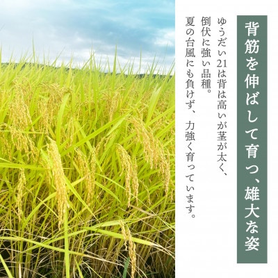 【令和6年産】国立大学生まれの美味しいお米「ゆうだい21」10kg〈令和7年4月下旬より発送予定〉【1600015】