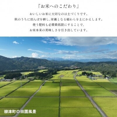 【令和6年産】福島県柳津町産「こしひかり」10kg〈令和7年4月下旬より発送予定〉【1600017】