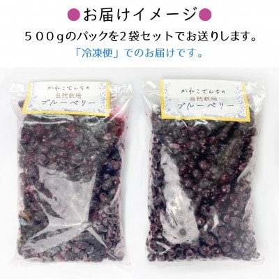 山あいで育ったやさしい甘さ。冷凍ブルーベリー【植物性堆肥使用】500g×2袋【配送不可地域：離島】【1573250】