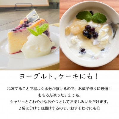 山あいで育ったやさしい甘さ。冷凍ブルーベリー【植物性堆肥使用】500g×2袋【配送不可地域：離島】【1573250】