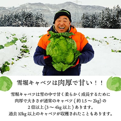 雪の中で旨みが凝縮!柔らか食感!大きな「雪掘(ゆきほり)ロールキャベツ」1kg(デミグラス2パック)【配送不可地域：離島】【1450824】