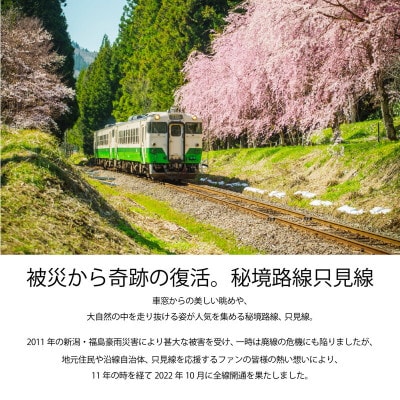 【鉄道風景画家　松本忠が描く】只見線オリジナルマグカップ【只見線応援!】【1499240】