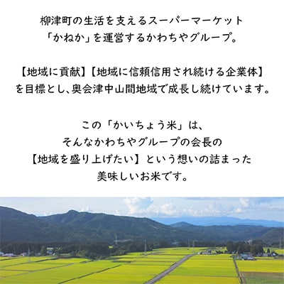 【令和6年産】食味値80以上!会津・柳津産コシヒカリ「かいちょう米」5kg(2kg、3kgセット)【1467323】