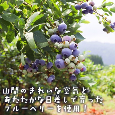 ãå±±ã®æµã¿ãã
ã£ãš!ãææã¿ãã«ãŒããªãŒãžã¥ãŒã¹ã720ml ã2æ¬ã»ãããã1676091ã