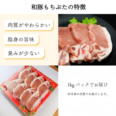 ジューシー!　ブランド豚　「和豚もちぶた」ロースとんかつ・ソテー用1kg【配送不可地域：離島】【1370786】