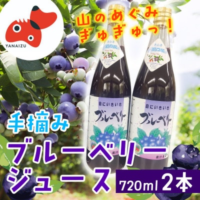 【山の恵みぎゅっと!】手摘みブルーベリージュース　720ml 【2本セット】【1676091】