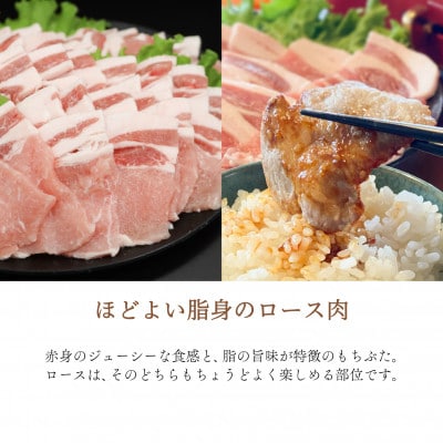 ジューシー!　ブランド豚「和豚もちぶた」ロース焼肉用1kg【配送不可地域：離島】【1370799】