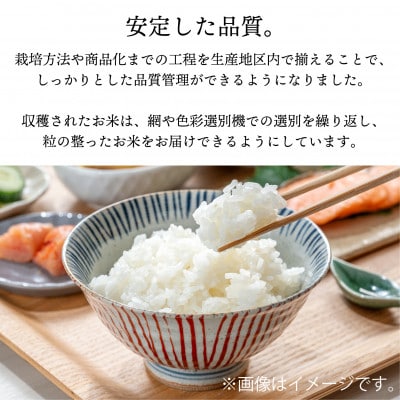 【令和6年産・精米】柳津町のおいしいこしひかり「中山間のかがやき」10kg 〈10月末より順次発送〉【1535164】