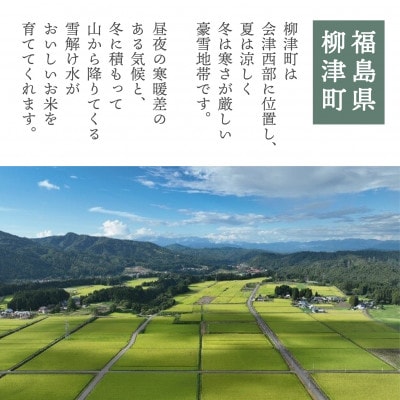 【令和6年産】柳津町産「こしひかり・ゆうだい21」食べ比べ 各5kg〈令和7年4月下旬発送予定〉【1600440】