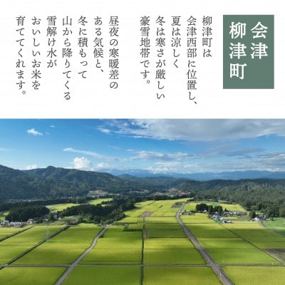 【令和6年産】柳津町産「福、笑い」10kg〈令和7年3月下旬より発送予定〉【1560944】