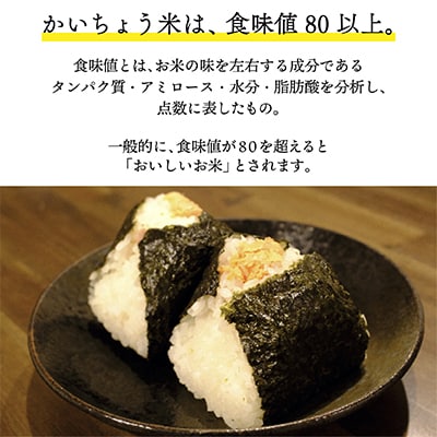 【令和6年産】食味値80以上!会津・柳津産コシヒカリ「かいちょう米」5kg(2kg、3kgセット)【1467323】