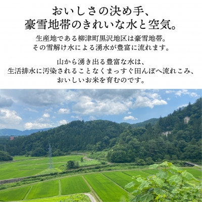 【令和6年産・精米】柳津町のおいしいこしひかり「中山間のかがやき」10kg 〈10月末より順次発送〉【1535164】