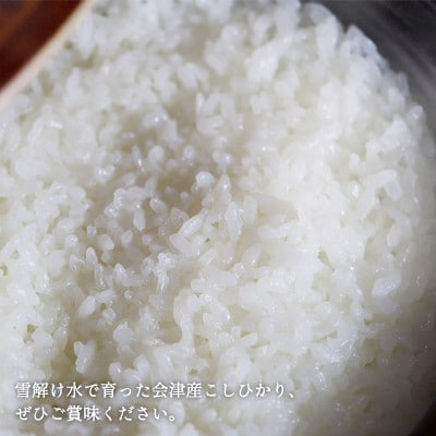 【令和7年産】福島県柳津町産「こしひかり」10kg〈12月下旬発送予定〉【1680156】