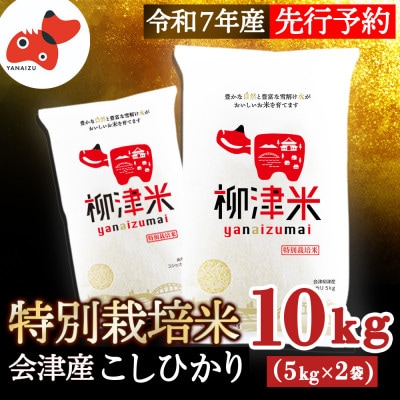 【11月下旬より順次発送】柳津産のおいしい特別栽培米「柳津米」【令和7年産こしひかり先行受付】【1590449】