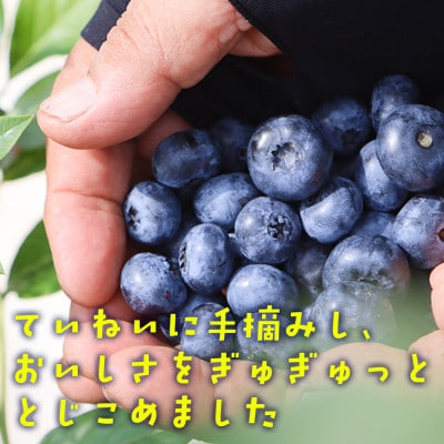 ãå±±ã®æµã¿ãã
ã£ãš!ãææã¿ãã«ãŒããªãŒãžã¥ãŒã¹ã720ml ã2æ¬ã»ãããã1676091ã