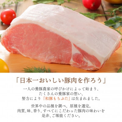 【ブランド豚】柔らかジューシーな肉質!「和豚もちぶた」3種セット1.5kg【配送不可地域：離島】【1476933】