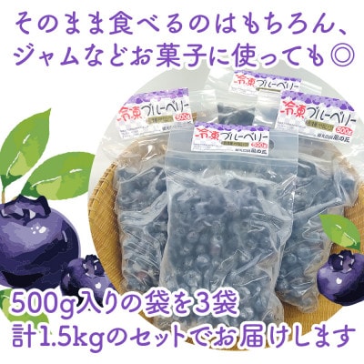 【摘みたて冷凍】 自然 の中で 育った 冷凍 ブルーベリー ( 500g × 3パック )【配送不可地域：離島】【1735459】