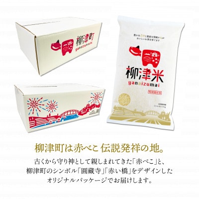 【11月下旬より順次発送】柳津産のおいしい特別栽培米「柳津米」【令和7年産こしひかり先行受付】【1590449】