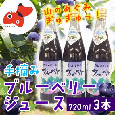 【山の恵みぎゅっと!】手摘みブルーベリージュース　720ml 【3本セット】【1362298】