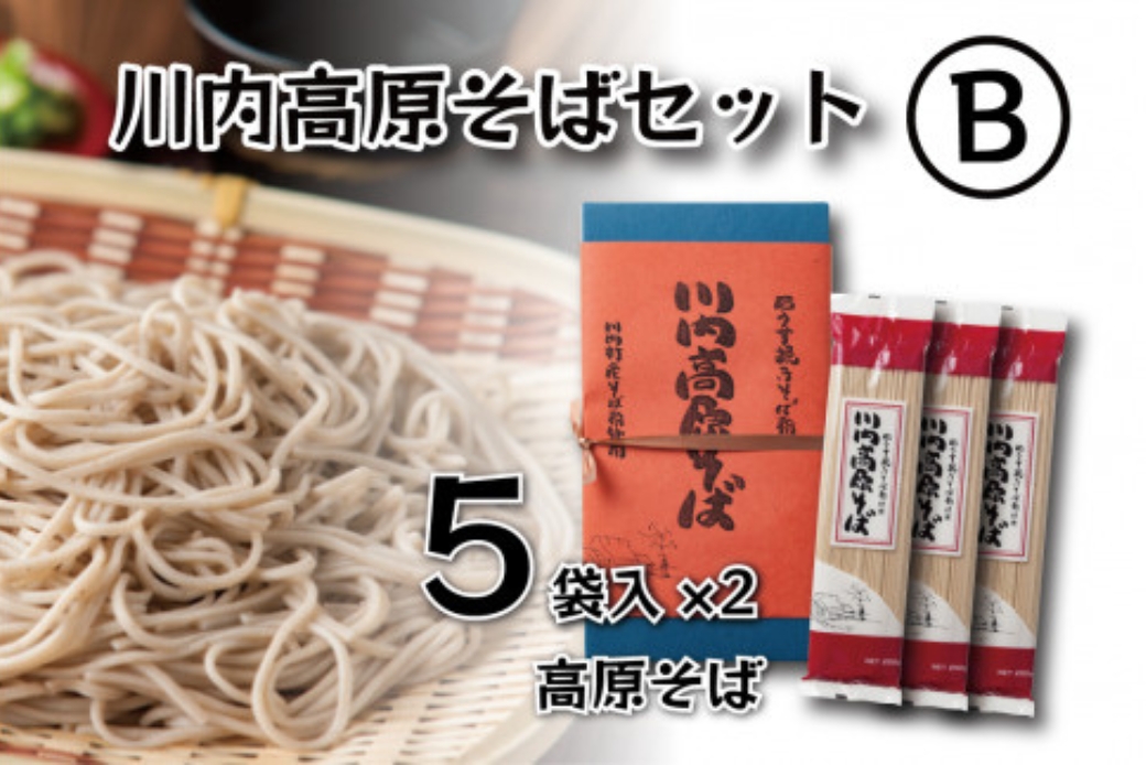 【ふるさと納税】川内高原そば セットB（乾麺） 200g×10袋