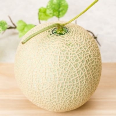 ãçç£éæ¥æ¬äžãèšåçç£ ã¢ãŒã«ã¹ã¡ãã³ãç¹ç§ã1çãé
éäžå¯å°åïŒé¢å³¶ã»æ²çžçãã1596627ã