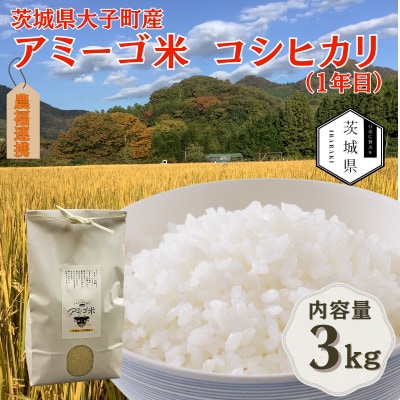 令和7年産新米 アミーゴ米3kg(コシヒカリ・天日干し米(1年目))栽培期間中農薬・化学肥料不使用【配送不可地域：離島・沖縄県】【1702220】