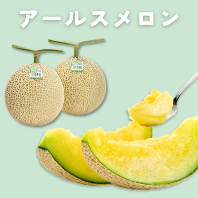 糖度13度以上!茨城県産 アールスメロン 2玉入り【先行受付　2026年9月下旬以降順次発送】【配送不可地域：離島・北海道・沖縄県・中国・四国・九州】【1686256】