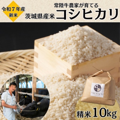令和7年産 茨城県産 常陸牛農家が育てる コシヒカリ 精米 10kg【配送不可地域：離島・沖縄県】【1660512】