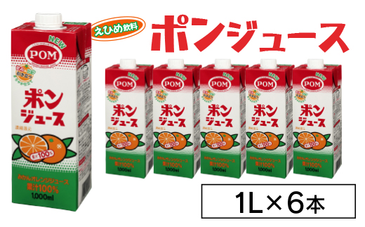 えひめ飲料　ポンジュース1L×6本【配送不可地域：離島・沖縄県】【1499873】