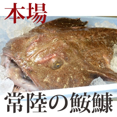 【3月発送】常陸名物　あんこう鍋セット(3〜4人前)【配送不可地域：離島・沖縄県】【1470373】