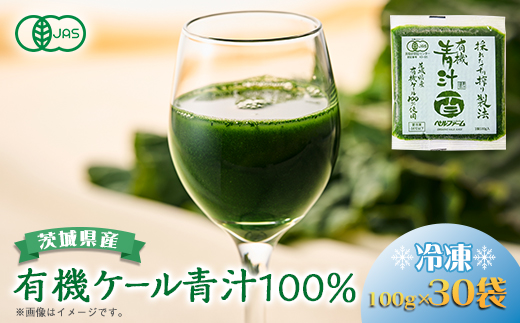 ベルファームの冷凍有機青汁百 茨城県産ケール100% 100g×30袋 【離島・沖縄配送不可】【配送不可地域：離島・沖縄県】【1443688】