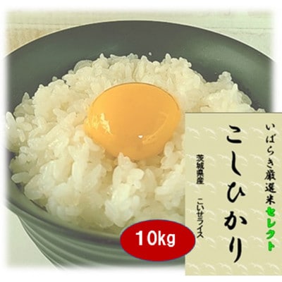 筑波山麓産米を中心に厳選した【茨城県産こしひかり】白米10kg 令和7年産【配送不可地域：離島・沖縄県】【1700082】