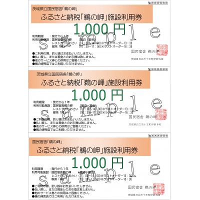 国民宿舎宿泊利用率NO.1「鵜の岬」館内利用券1,000円×3【配送不可地域：離島・沖縄県】【1606374】