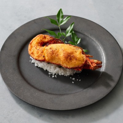 èšåã®æ¬ã®å³ãæãããã«ã³ãŒã¹ãã¬ã¹ãã©ã³ãã±ãããé
éäžå¯å°åïŒé¢å³¶ã»æ²çžçãã1659671ã