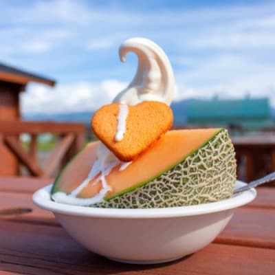 ã什å5幎 å質åªè¯è³åè³ãèšåçææç£ã¯ã€ã³ã·ãŒã¡ãã³(èµ€è) ç¹ç§2çãé
éäžå¯å°åïŒé¢å³¶ã»æ²çžçãã1691511ã