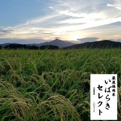 茨城県産こしひかりミックス 白米5kg 令和7年産【配送不可地域：離島・沖縄県】【1700053】