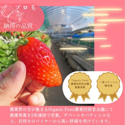菅谷いちご園の完熟いちご　3Lサイズ18粒(約420g)×2パック【配送不可地域：離島・北海道・沖縄県・中国・四国・九州】【1702274】