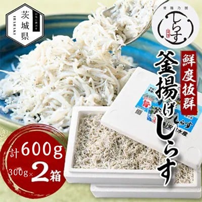 極鮮 茨城・鹿島灘 常陸乃国しらす「釜揚げしらす」 600g(300g×2箱) 冷凍便【配送不可地域：離島・沖縄県】【1674816】