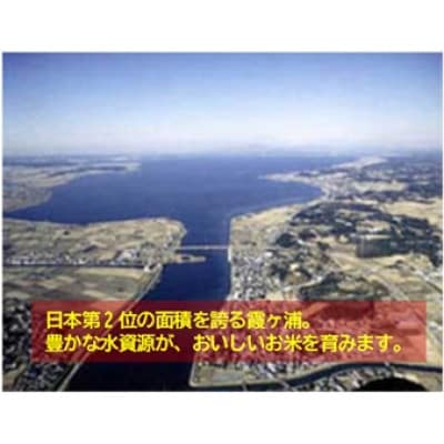 筑波山麓産米を中心に厳選した【茨城県産こしひかり】白米10kg 令和7年産【配送不可地域：離島・沖縄県】【1700082】